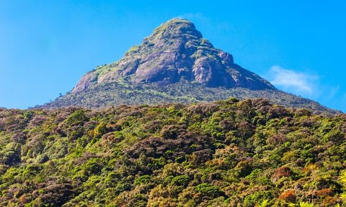 Adam's Peak