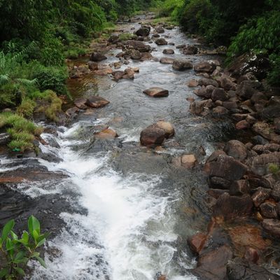 Adam's Peak Gallery Image 2