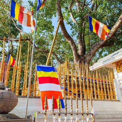 Anuradhapura Gallery Image 1