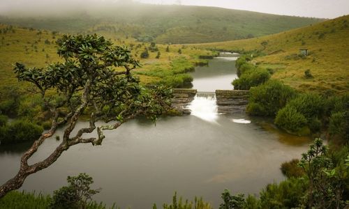 Horton Plains