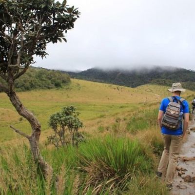Horton Plains Gallery Image 2