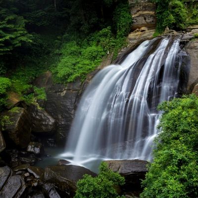 Nuwara Eliya Gallery Image 4