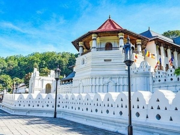 Culture and Classic Tours