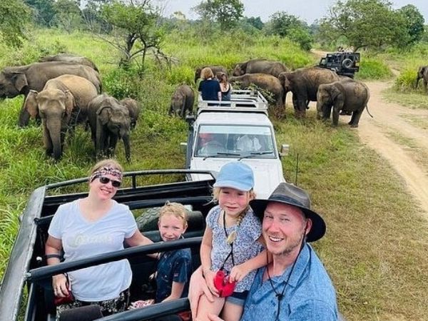 Wildlife Tours